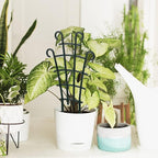ZEAYEA 24 Pack Trellis for Potted Plants, Plastic Small Trellis for Pot - Image 7