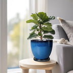 Ceramic Planters for Indoor Plants - Image 7