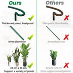 Half Round Snake Plant Support Stakes, Plant Ring - Image 5