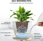 10 inch Self Watering Hanging Planters, 2 Pack Hanging Flower Pots - Image 2