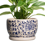 SQOWL Ceramic Planters for Indoor Plants by SQOWL