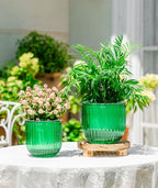 Melphoe Self Watering Pots for Indoor Plants Planter, 6.5/5.3 Inch 2 Pack - Image 3
