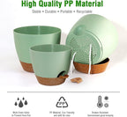 10/9/8 inch Self Watering Pots - Image 6