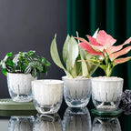 6 Pack 4 inch Self Watering Pots Planters - Image 8