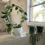 Acrux7 10 Pcs Circle Indoor Plant Trellis - Image 7