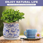 Ceramic-Planters-for-Indoor-Plants - Image 2