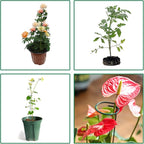 12 Pack Plant Stakes, Plant Support Stakes - Image 5