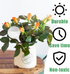 20 PCS Clear Plant Watering Globes, Plastic Watering Bulbs, Self Watering - Image 4