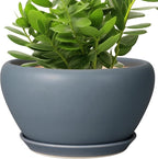Ceramic Plant Pot by Ceramicfor