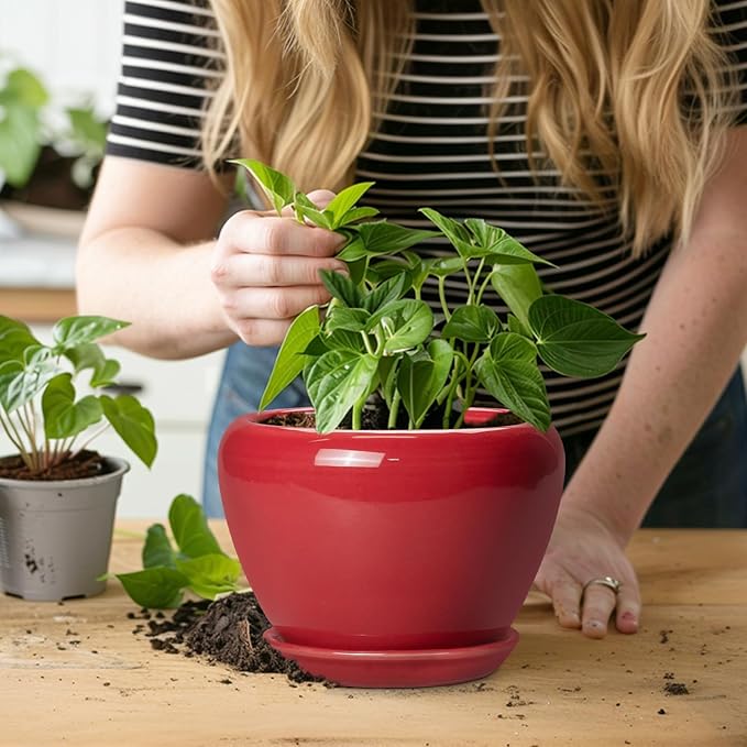 6 Inch Plant Pot - Image 6