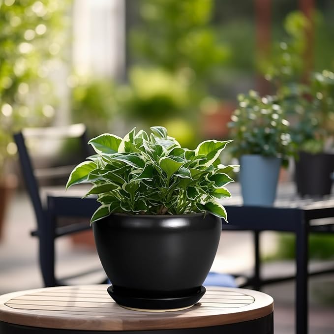 Ceramic Planter Pot - Image 4