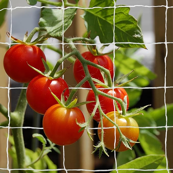 Tcamp Garden Trellis Netting for Plants - Image 5