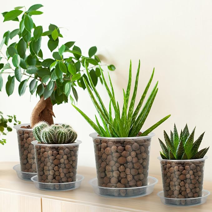 5 Inch Clear Nursery Pots for Plants - Image 6