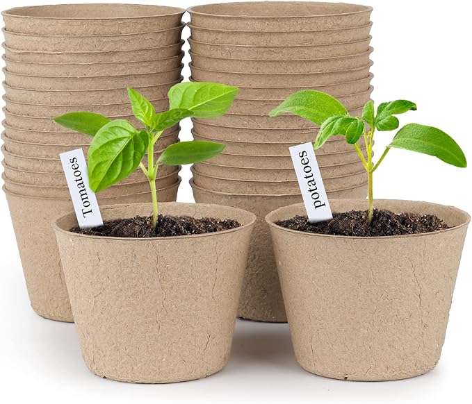 homenote Peat Pots by HOMENOTE