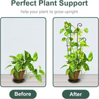 Coomin 23in Taller Plant Trellis - Image 2