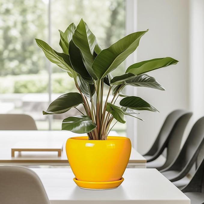 Ceramic Pot for Plants - Image 7