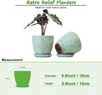 6 Inch Retro Ceramic Planter Set of 2 - Image 3