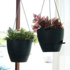 10 Inch Self Watering Hanging Pots, 2 Pack Hanging Planters - Image 6