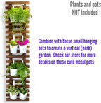 ShopLaLa Wall Planter for Climbing Plants Outdoor - Image 3
