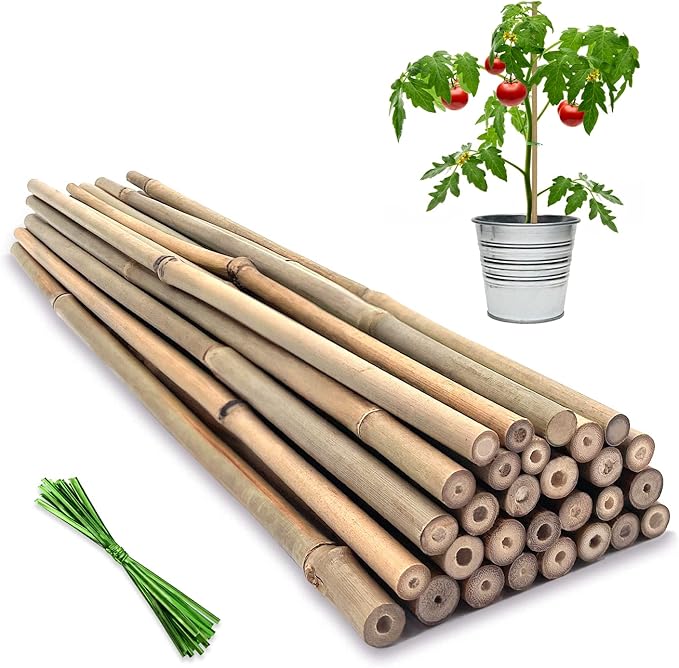 Plant Stakes, 16 Inches Natural Garden Bamboo Sticks, BOVITRO 20Pcs Plant by BOVITRO