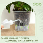 Self Watering Pots for Indoor Plants - Image 3