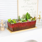 Succulent Pots - 12 Inch Large Succulent Planters - Image 4