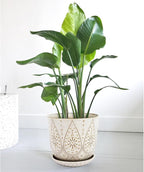 Gepege 10 Inch Plant Pot, Creamy White Ceramic Planter - Image 7