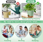 Aulock 6in Self Watering Pots for Indoor Plants - Image 3
