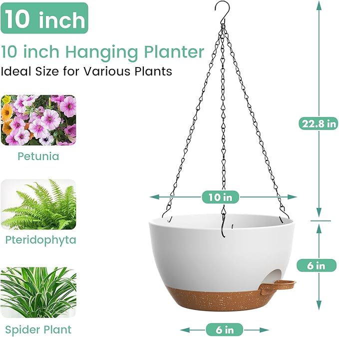Set of 3-10 Inch Self Watering Hanging Planters - Image 3