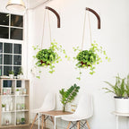 Juexica 4 Pcs Plant Hanger Wooden, 8 Inch Hanging Plant Hooks - Image 5