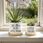 Say Aloe to My Little Friend Planter Pot, Funny Plant Pots, Aloe Plant Pot - Image 6