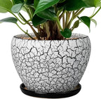 Ceramic Planter Pot by Ceramicfor