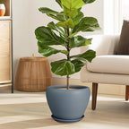 Ceramic Pot for Plants - Image 2