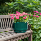 G EPGardening Ceramic Planter for Indoor Plants - Image 4