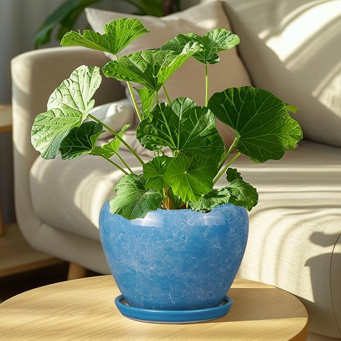 Ceramic Planter - Image 2