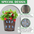 30 Pack 7/6/5/4/3 Inch Clear Nursery Pots - Image 4