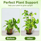 23in Plant Trellis Indoor, Trellis - Image 3