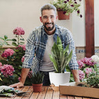 Indoor Plant Pots for Lazy People, African Violets, Snake Plants, Flowers and - Image 7