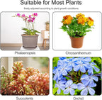 30 Pcs Plant Support Stakes - Image 7