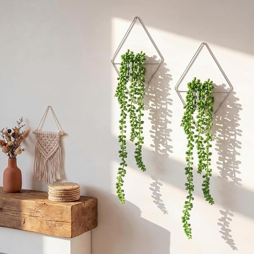2 Pieces Wall Decor Hanging Planters by Canlierr