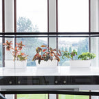 Window Box Planter with Tray - Image 6
