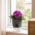 12 Pack Self Watering Pots for Indoor Plants, PlanterHoma 3.2 Inch Plant Pot - Image 4