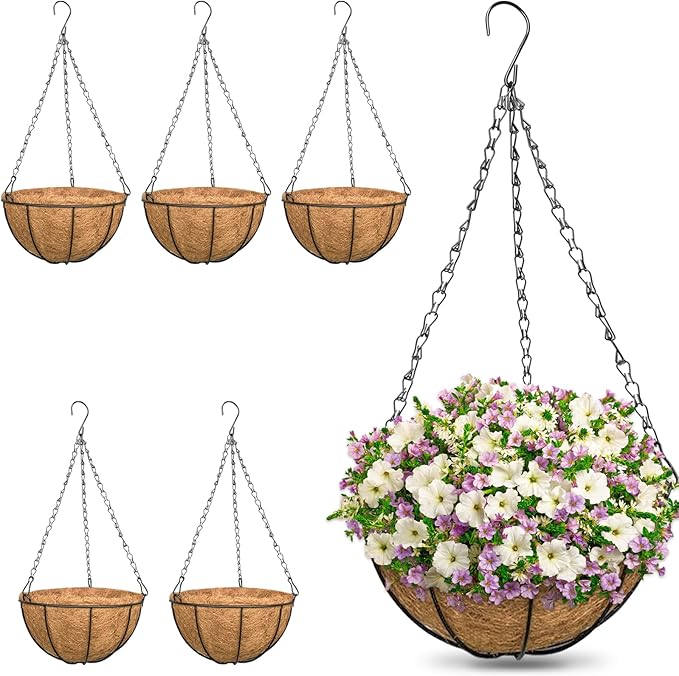 ZeeDix 6 Pack 10 Inch Metal Round Hanging Planter Basket by ZeeDix