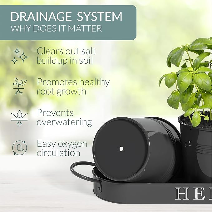 Barnyard Designs Indoor Herb Garden Planter Set - Image 5