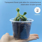 Clear Seedling pots 100-Pack 3.2 Inches Round - Image 3