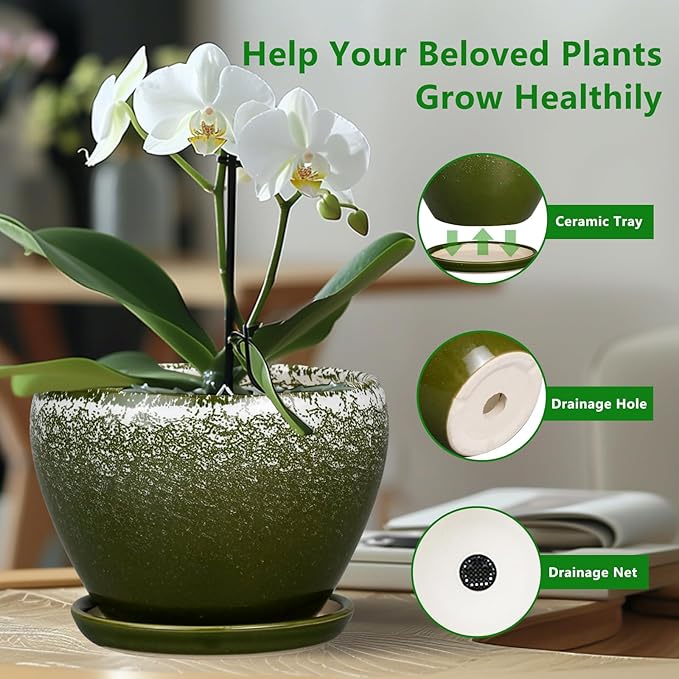 6 Inch Plant Pot - Image 6