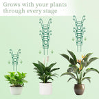 12 Pack Stackable Plant Trellis - Image 3