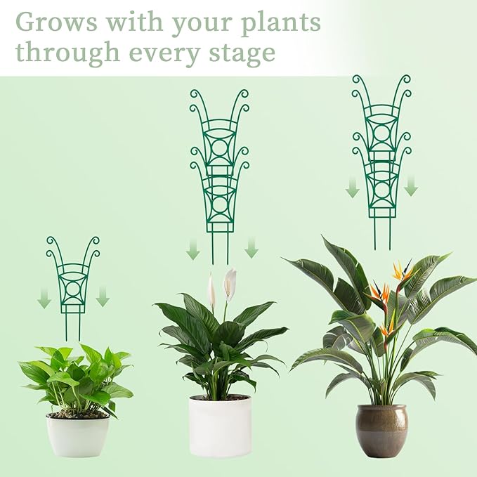 8 Pack Trellis for Potted Plants, Stackable Indoor Plant Trellis for Climbing - Image 3