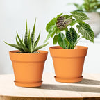 7 Inch Thick Plastic Plant Pots - Image 6