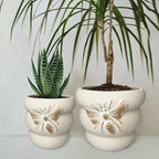 Terracotta Pots with Drainage Holes Bee Decor, Ceramic Pots - Image 4